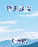 碎玉逢尘原著小说